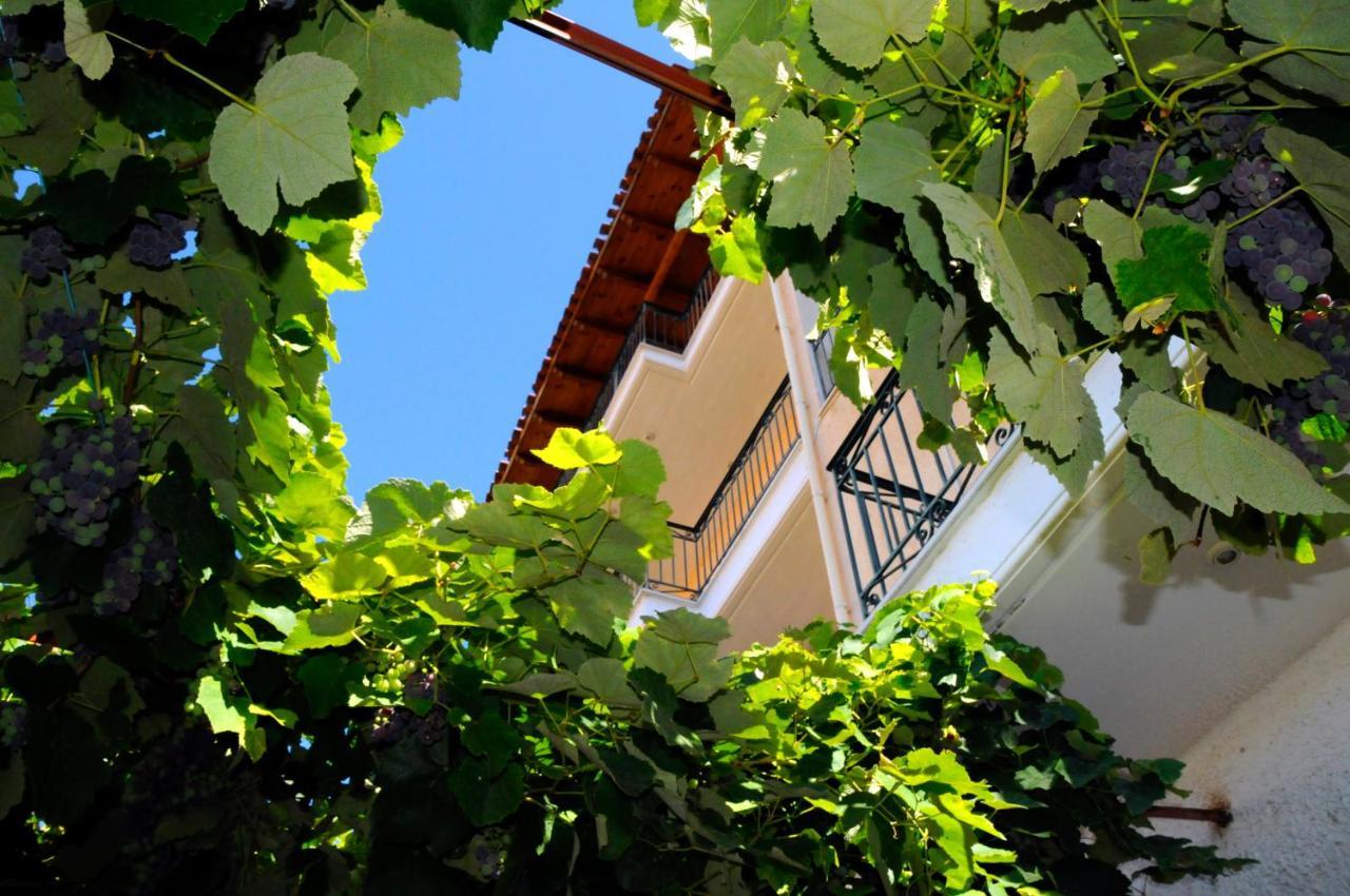 Boutique Hotel Parnassia Arachova Eksteriør billede